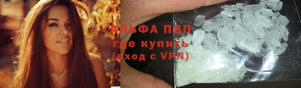винт Алексин