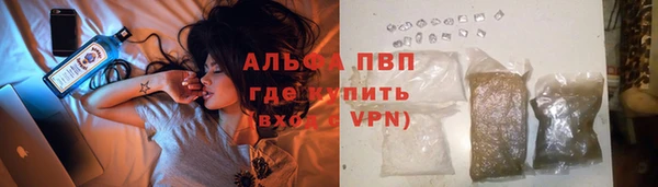винт Алексин