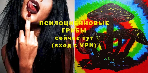 винт Алексин