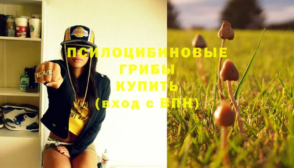 амфетамин Лабытнанги