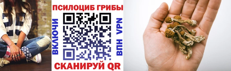 даркнет сайт  Алексин  Галлюциногенные грибы прущие грибы 
