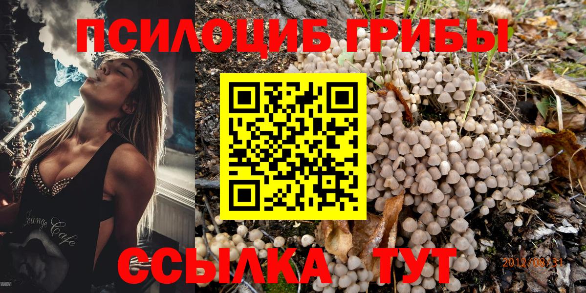 Cocaine  Лсд 25  Алексин  Гашиш  Марихуана  НБОМе  МЕТАМФЕТАМИН  Меф МЯУ МЯУ   Вход с VPN  Кодеин 