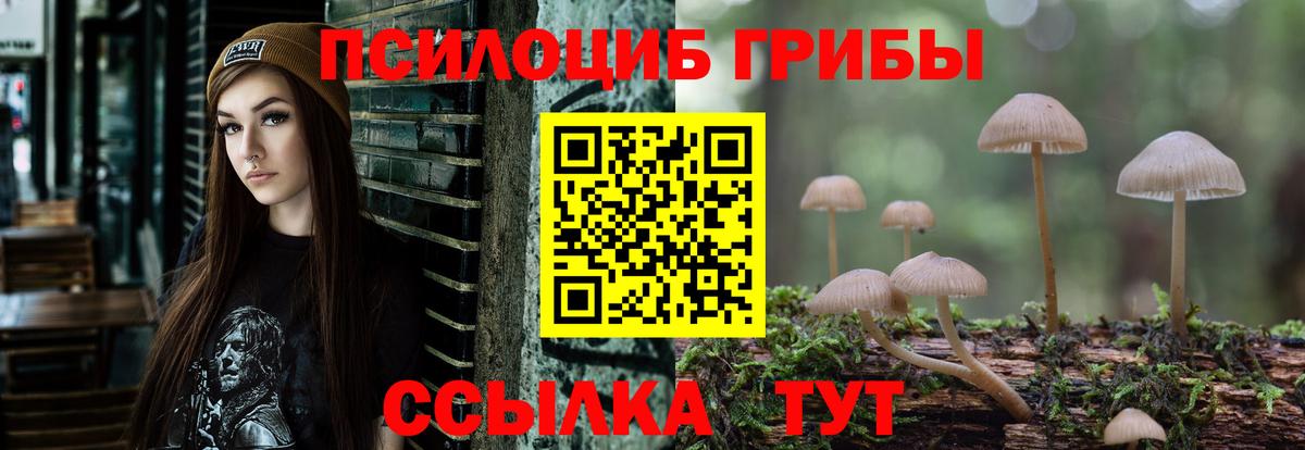 Алексин  Псилоцибиновые грибы мицелий  Вход с VPN  Галлюциногенные грибы MAGIC MUSHROOMS 